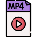 mp4 format